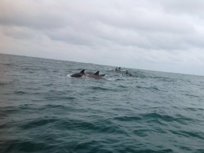 Tour by the coast of Tuxtlas, Veracruz