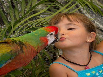 Zoológico en Los Cabos