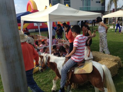 Mobile farm in Puebla for 1 hour