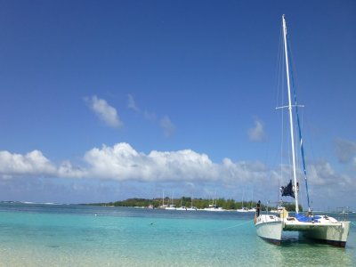 Catamaran Ride and Snorkeling Underwater Art Museum