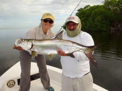 Campeche Tarpon