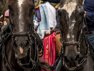 Cabalgata en la Ruta del Tequila