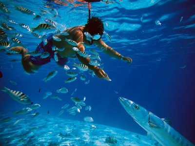 Snorkel a Cozumel con trasportación desde Cancún