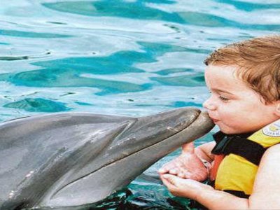Nado con delfines 45 min Cancún - Pto Morelos