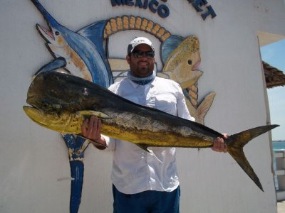 The Cortez Club Pesca