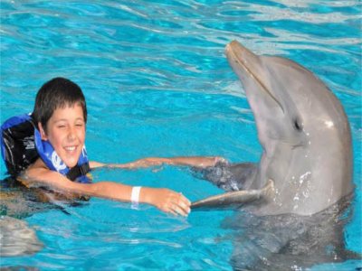 Nado con delfines + entrada a Six Flags Cd México