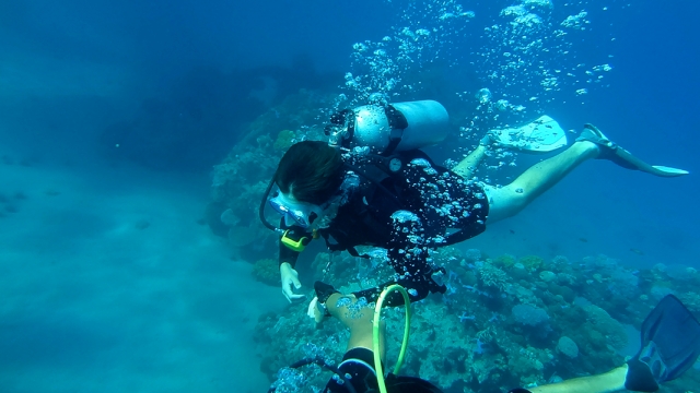 Buceo Sesimbra Portugal