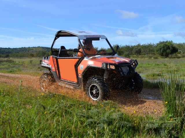 Acelerando el buggy por el camino de tierra