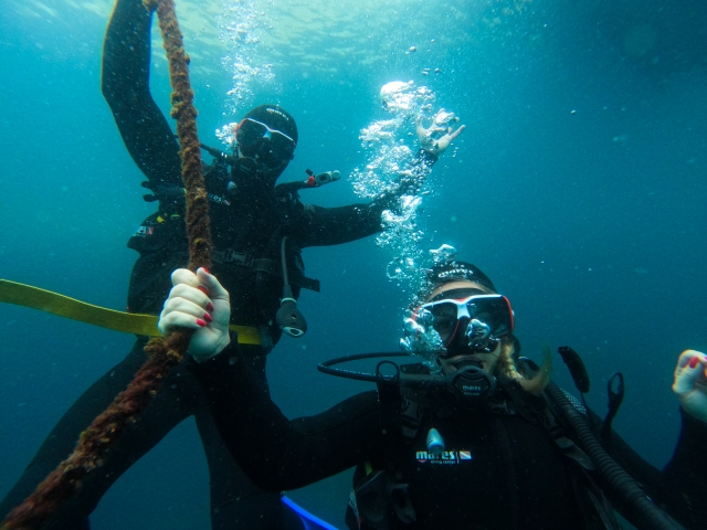 Buceo en Sesimbra