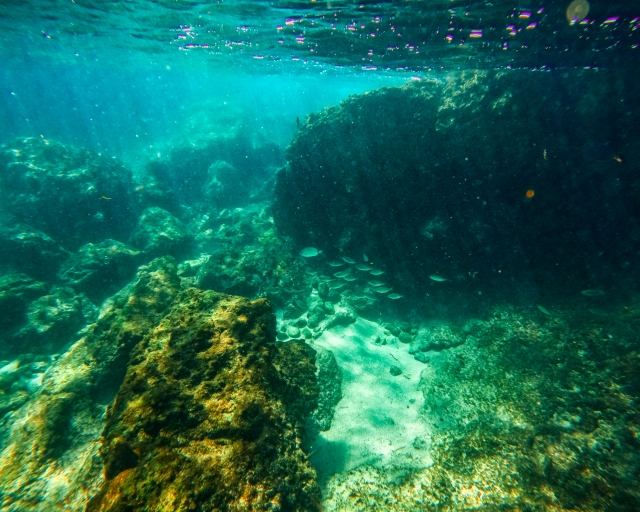 Snorkeling