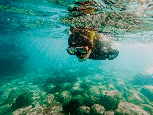 Snorkeling en Setubal