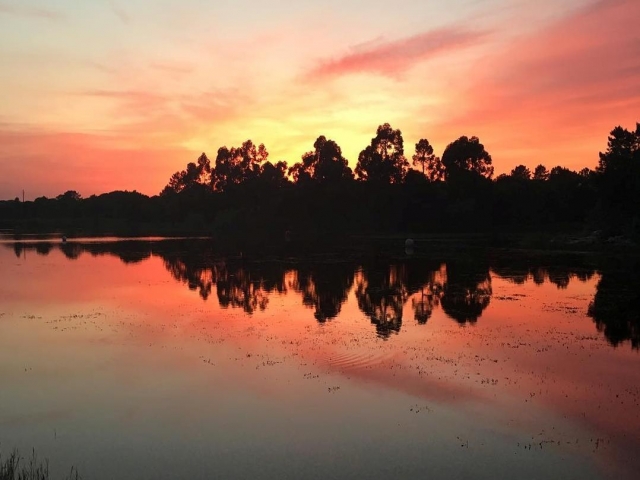 Preciosas vistas del lago en Santarém
