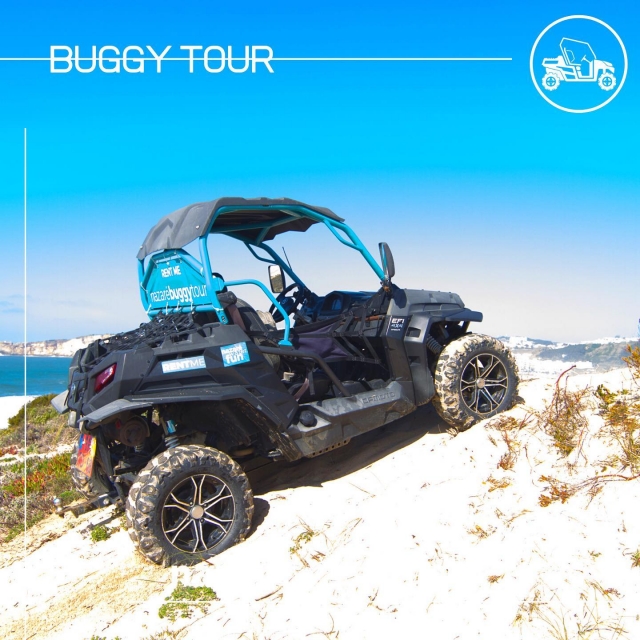 buggy tour playa