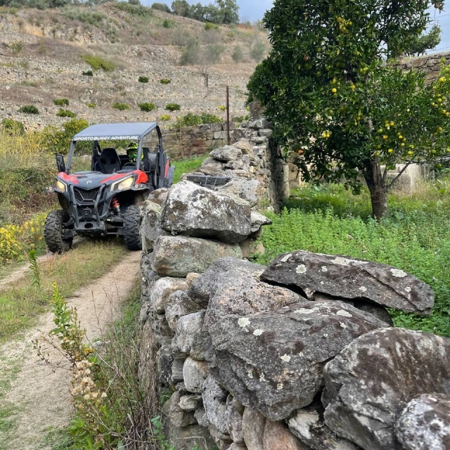 Buggy por Oporto
