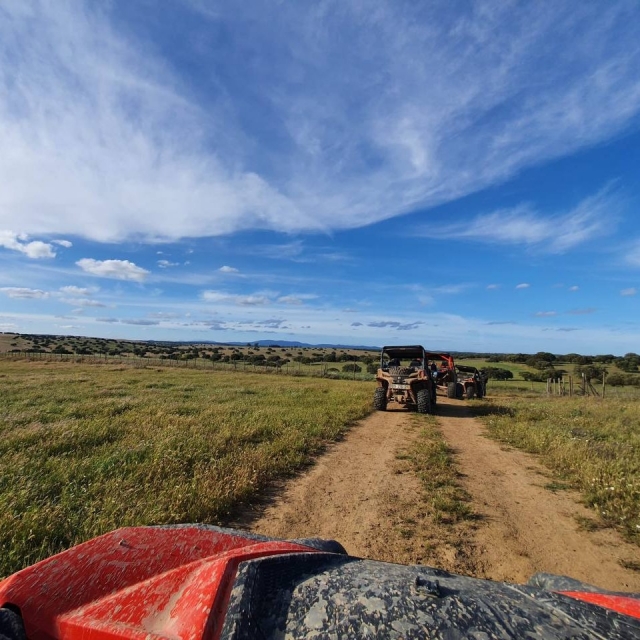buggy biplaza Portugal