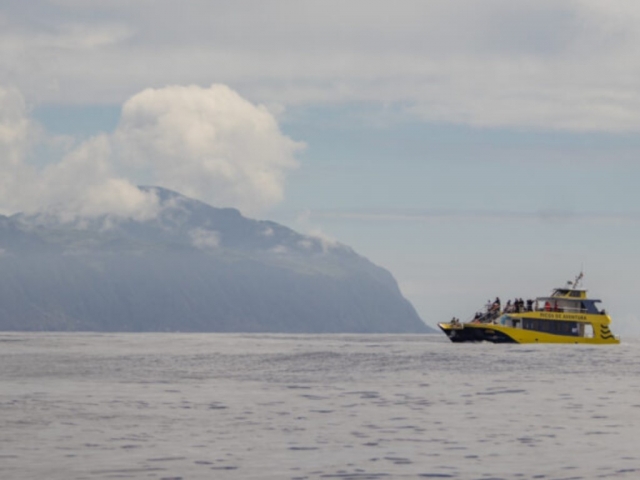 En el barco para el avistamiento de delfines