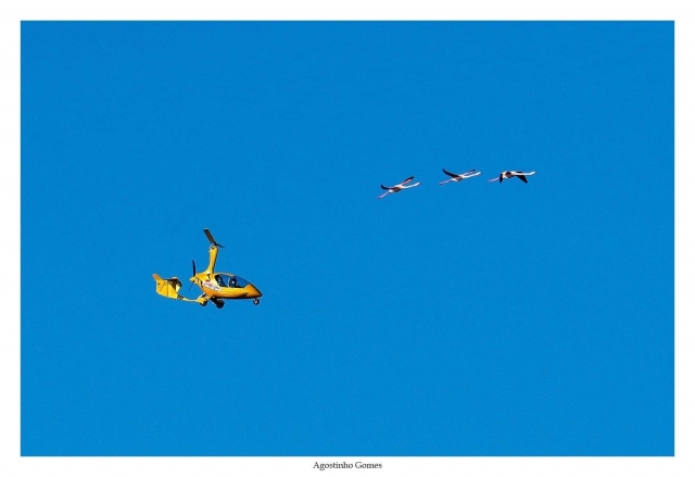 Sobrevolando