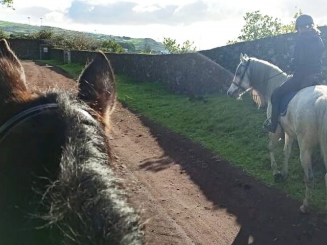Disfrutando de la cabalgamarra por Sao Miguel
