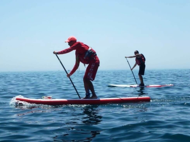 Remando sobre las tablas de paddle board