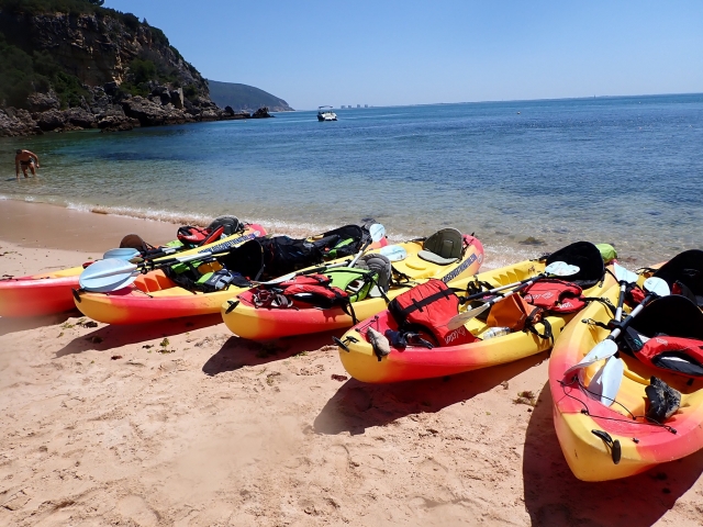 Los kayaks en la orilla