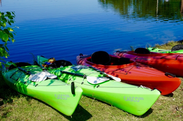 kayaks listos para salir