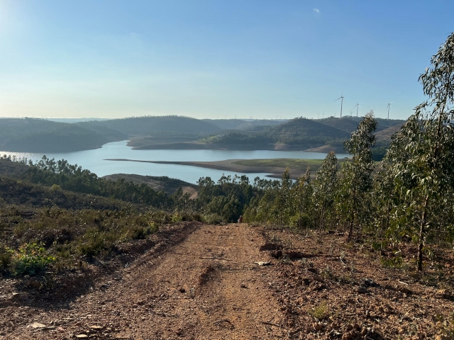 senderos para las rutas