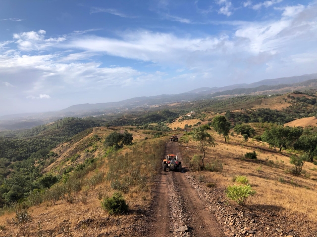 senderos rocosos en buggy