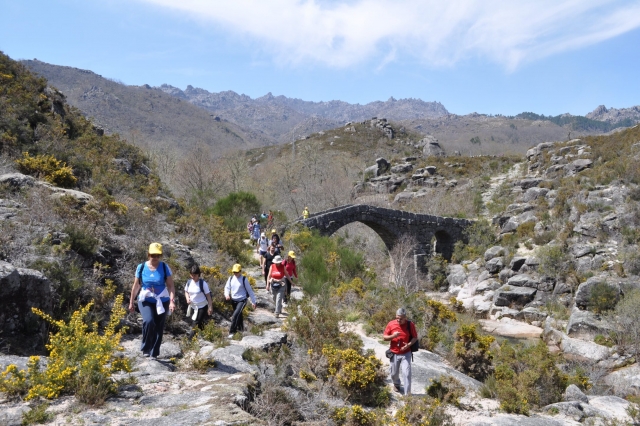 ruta entre montañas