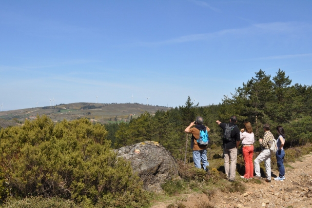 observando los paisajes increibles