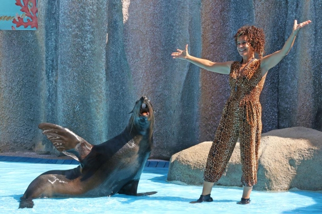 Con el mamífero marino