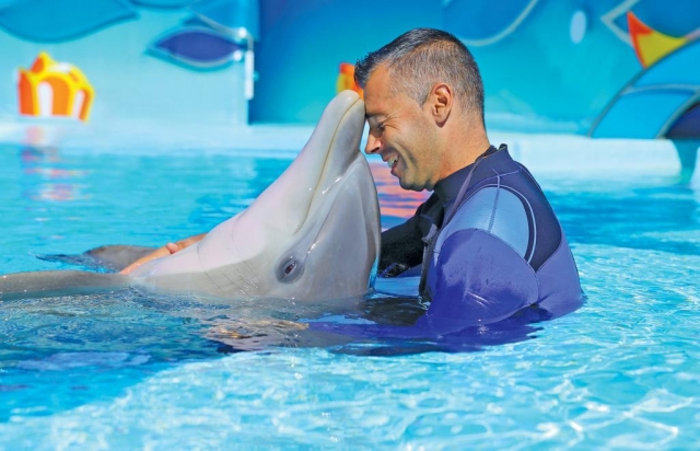 Feliz con el delfín