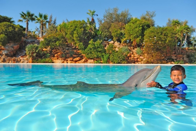 Niño con delfín