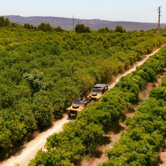 adentrándonos en el Algarve