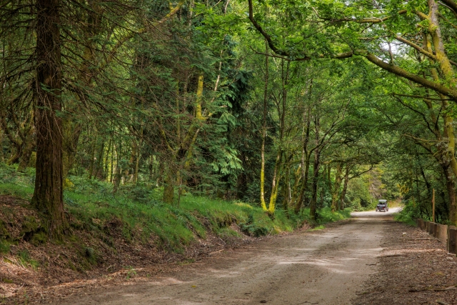 En lo más alto con el buggy