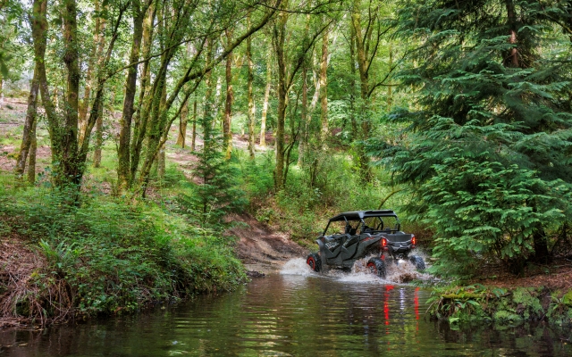 Disfruta de esta aventura en familia