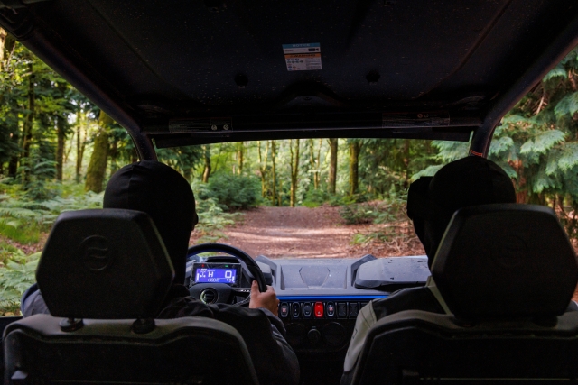 Renta de buggies en Arcos de Valdevez