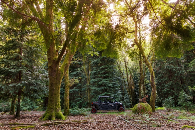 Impresionanle panorámica del paisaje