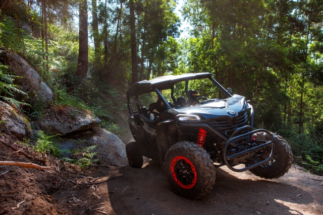 Nuestros monitores le acompañarán en el recorrido