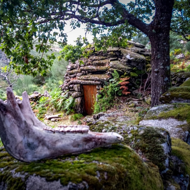 Conoce los secretos de la Sierra de Arga