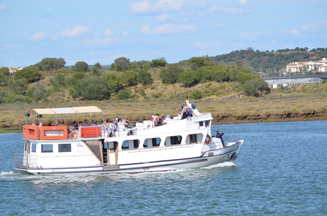 Salidas en barco
