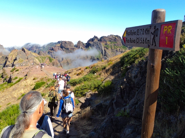 Camicrema por Madeira
