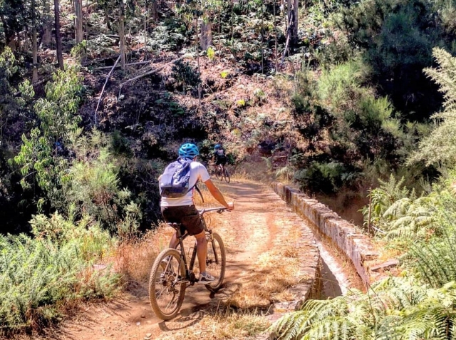 Ruta en bicicleta