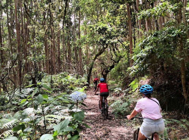 Excursion en BTT