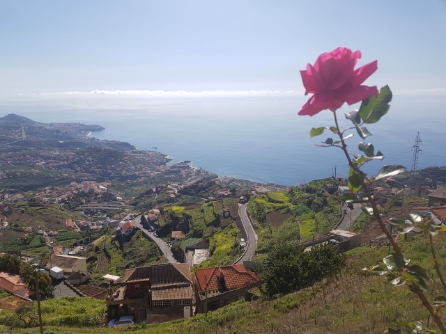 Paisaje de la isla