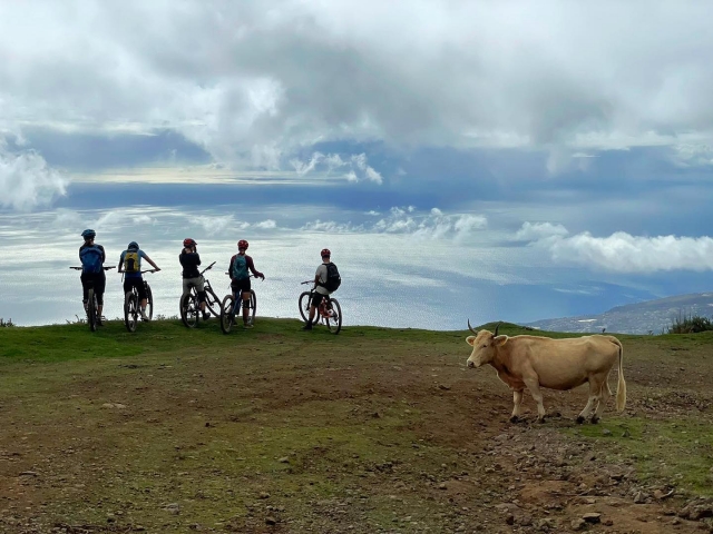 Paisaje de Madeira