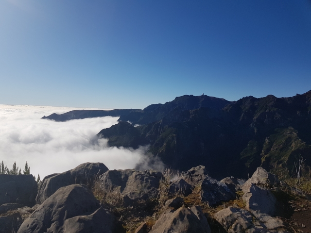 Picos de Madeira