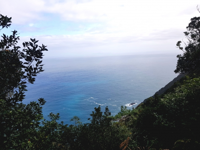 Vistas de Madeira
