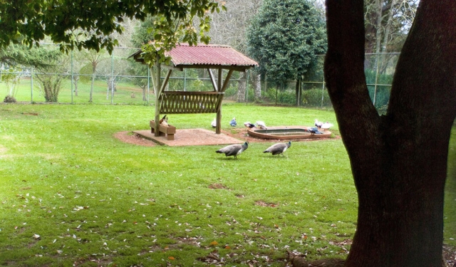 Jardines de Madeira