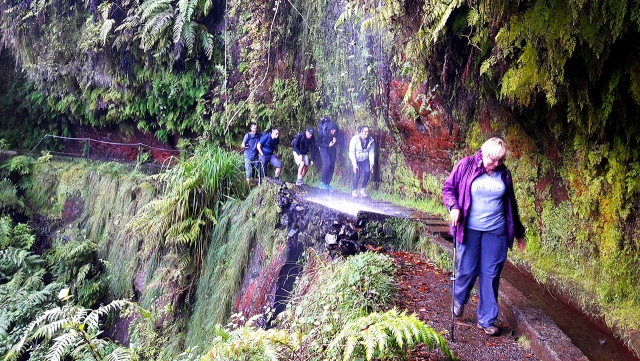 Ruta de camicrema por Madeira