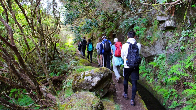 Ruta a pie por los senderos de Madeira